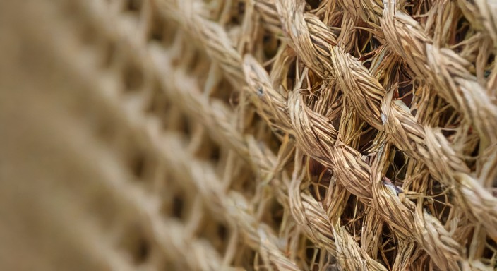 Tight macro shot